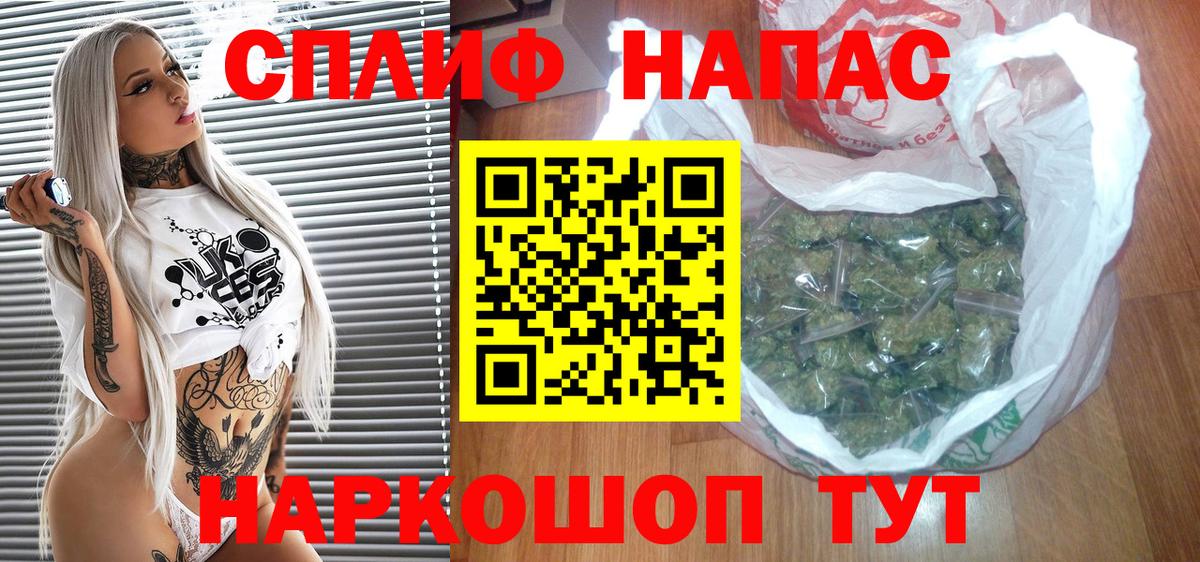 Тында  Конопля планчик  Конопля планчик  Вход с VPN 